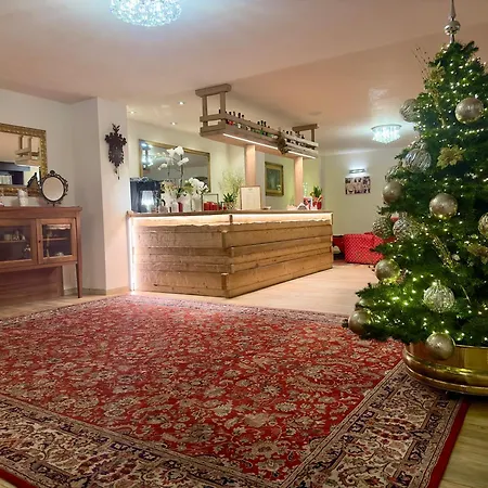 Hotel Zeni-2